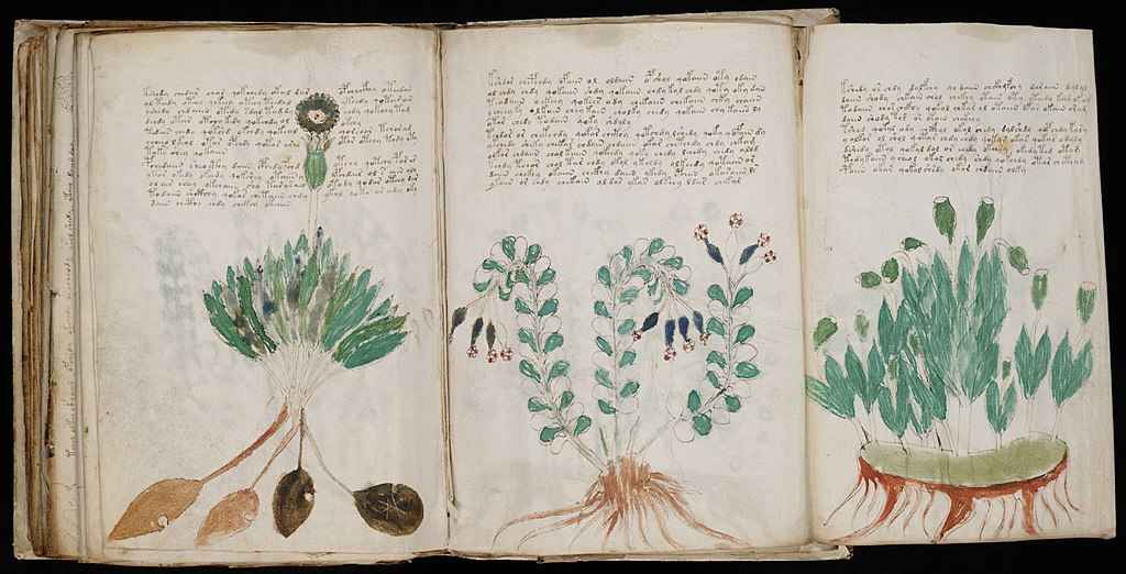 Páginas do Manuscrito de Voynich
