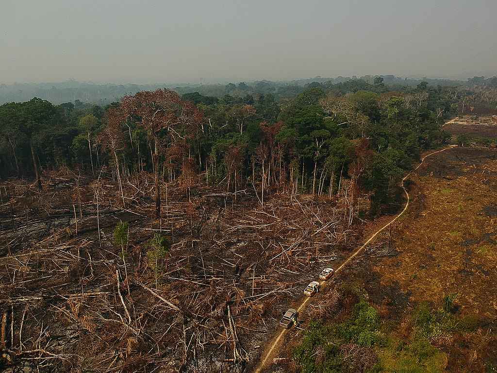 área desmatada de uma floresta tropical, evidenciando a devastação ambiental