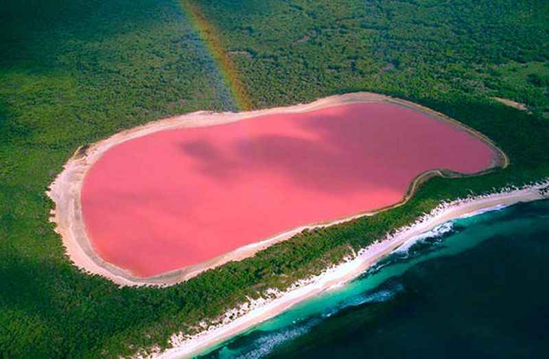 Ecossistema ao redor do Lago Hillier