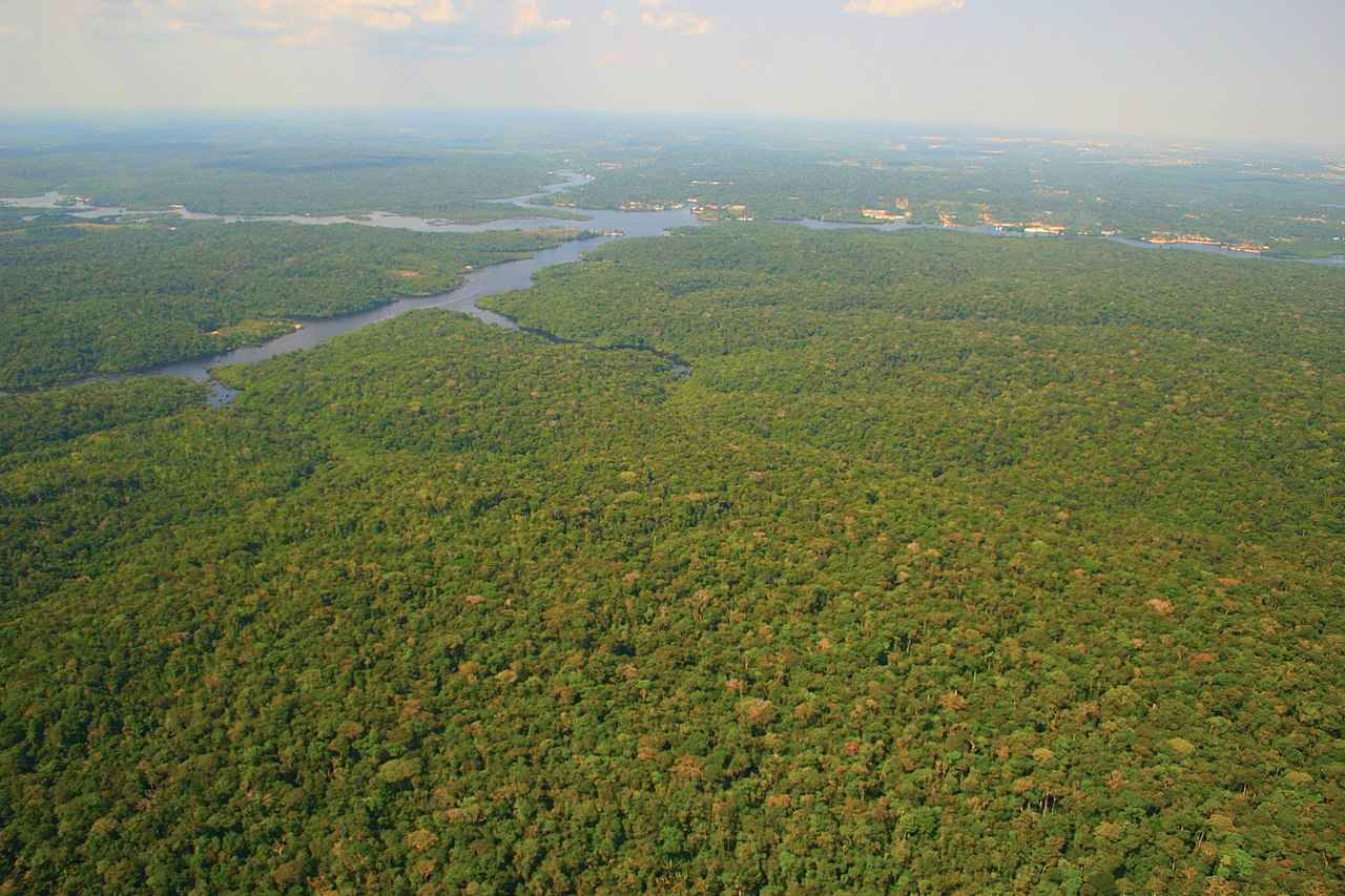 floresta tropical vista do alto, mostrando sua vasta extensão e importância para o clima